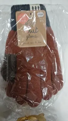 Item thumbnail for item 65c65a01-bbdc-4b1f-ad76-1f112000acdc