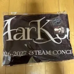&TEAM Mark on You 압글레 특전