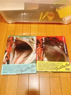 Item thumbnail for item 5fb1cb90-dd01-4691-95a9-a132ffd293e7