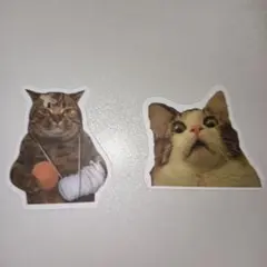 猫のデザイン ステッカー 2枚セット
