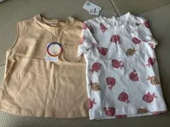 テータテートセット95