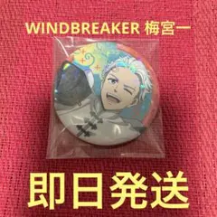 WINDBREAKER 梅宮一 缶バッジ チャイナアクション