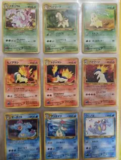 ポケモンカード 旧裏 ロケット団 ノーマルポケモン 全40種 120枚