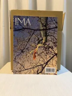 Item thumbnail for item 4cf32ca0-72c2-4954-b94b-aea02a036f38