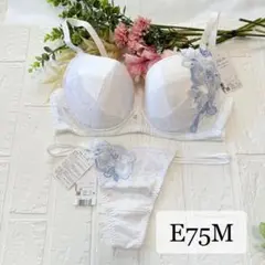 【新品】wacoal サルート　75 ブラ　ソングセット　E75M WH