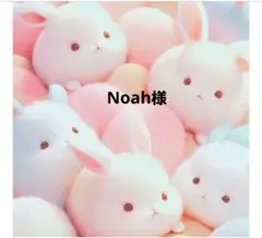 Noah 様 確認