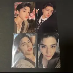 &TEAM マキ トレカ 雪明かり 月狼 4枚セット