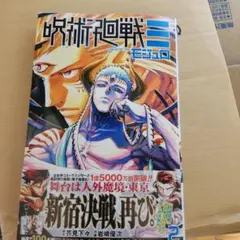 呪術廻戦 モジュロ　2巻