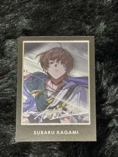 2025年最新】東京ディバンカー 昴流の人気アイテム - メルカリ