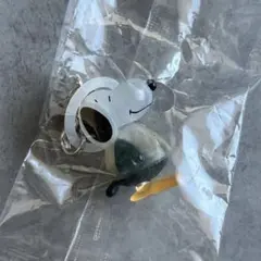 PEANUTS めじるしアクセサリー FUNNY ver. スヌーピーD