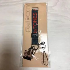 ア*ル様 SixTONES ネックストラップ FeeldaCityツアーグッズ