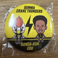サンダーズガチャ　缶バッジ　#15 エージェー・エドゥ選手