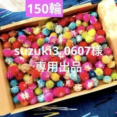 510 ドライフラワー千日紅約１５０輪、バラエティミックスカラーランダムセットのサムネイル