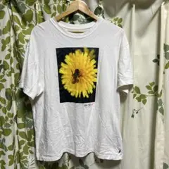 Nike SB ルーズフィット Tシャツ XXL ホワイト