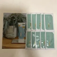 チェントンツェE クリームタイプシャンプー