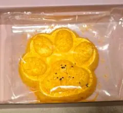 海外スクイーズ kikisquishy さくさく肉球 XLサイズ