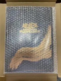 【最終値下げ】青眼の白龍 浮世絵【切手無し】