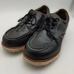 Item thumbnail for item 7a74708d-6e3f-4c47-b7de-61f9668d0f4a