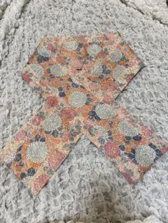 Item thumbnail for item c0bfd4bf-4c46-4d3e-8c27-036d62809595