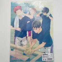 ハイキュー クリアファイル 春夏秋冬シリーズ 白鳥沢　牛島若利　天童覚
