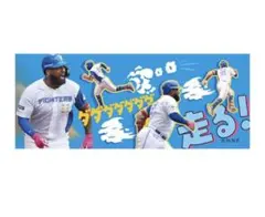 レイエス　タオル　グッズ　ファイターズ　日ハム　応援　エスコン　日本ハム　野球