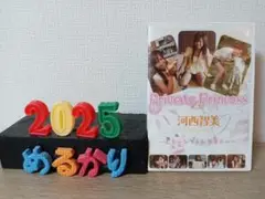Private Princess 河西智美 とも～みちゃんの夏休み DVD
