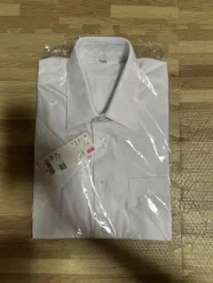 Item thumbnail for item 0348546c-2fab-4450-90fe-72a1a5babe8e