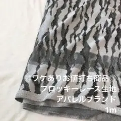 V2L/5482-02◆1m ワケあり/ポリレーヨン混フロッキーレース生地