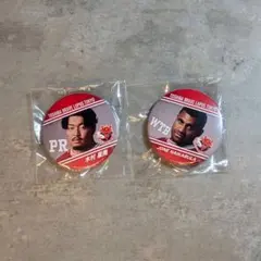 東芝ブレイブルーパス　缶バッジ 　2個セット