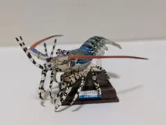 2026年最新】鳥羽 ニシキエビの人気アイテム - メルカリ