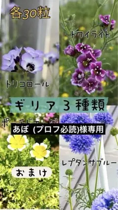 ギリア3種類セット（別包装）