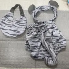 Item thumbnail for item a60ed8b6-a5b2-4623-8c2c-e68c9c779fb6