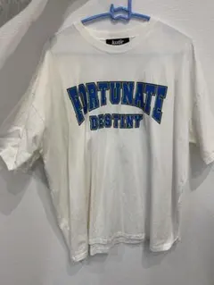 Item thumbnail for item a0e4ddfd-af7c-4298-bbac-57e1e9c55f70