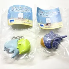 美ら海水族館 すみっコぐらし 沖縄 ガチャガチャ 限定 キーホルダー