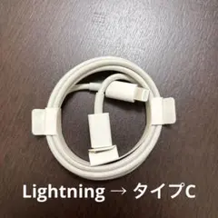 Apple iPhone ライトニングtoタイプC ケーブル 純正品