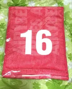 デンソーエアリービーズ バレーボール