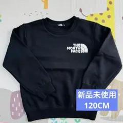 ザノースフェイス 120