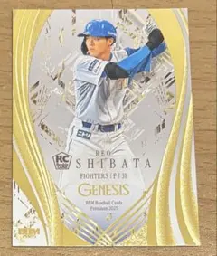 BBM 2025 GENESIS REO SHIBATA ルーキーカード