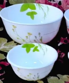コレール プロヴァンスガーデン ボウル 5枚セット - メルカリ