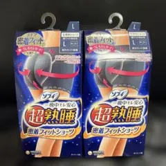 新品♡ソフィ 一晩中モレ安心 超熟睡密着フィットショーツLサイズ♡2枚セットのサムネイル