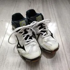 バレーボールシューズ バレーボール