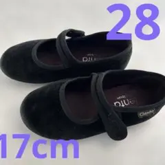 17センチ