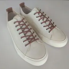 pointer　キャンバススニーカー