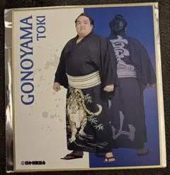 2026年最新】力色紙 相撲の人気アイテム - メルカリ