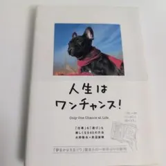 人生はワンチャンス! 「仕事」も「遊び」も楽しくなる65の方法