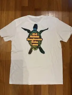 Item thumbnail for item 7738e19b-5654-48a0-b0c7-d84d4cf71d3e