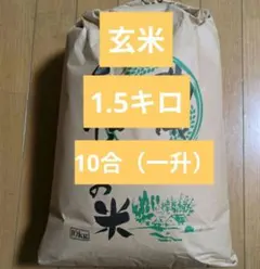 2026年最新】令和7年産コシヒカリの人気アイテム - メルカリ