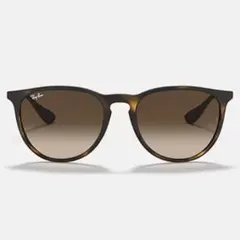 Ray-Ban ERIKA RB4171F 偏光サングラス