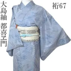 2026年最新】都喜ヱ門大島紬の人気アイテム - メルカリ