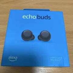 echo buds エコーバッズのサムネイル